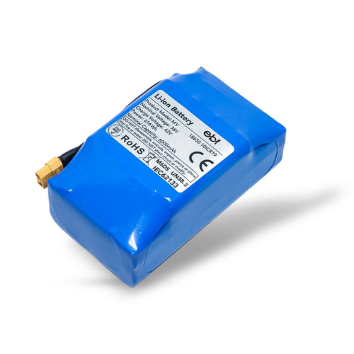 36v 6Ah Hoverboard Battery
